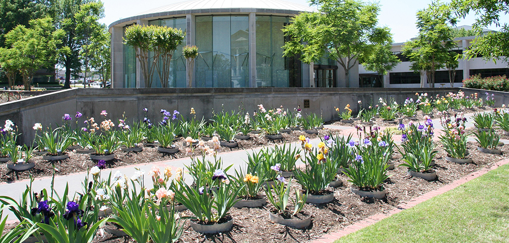 arkansas supreme court rotunda in spring